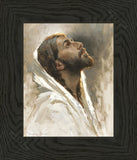 Beloved Son