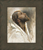 Beloved Son