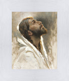 Beloved Son
