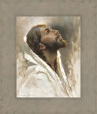 Beloved Son