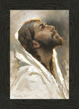 Beloved Son