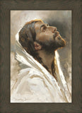 Beloved Son