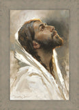 Beloved Son