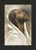 Beloved Son