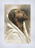 Beloved Son