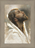 Beloved Son