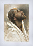 Beloved Son