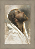 Beloved Son