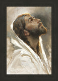 Beloved Son