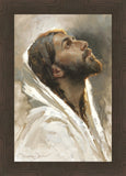Beloved Son