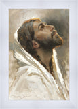 Beloved Son
