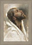 Beloved Son