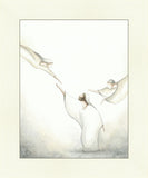 Comfort of Angels