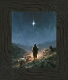 The Shepherd's Star