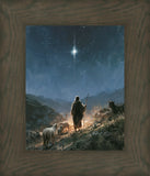 The Shepherd's Star