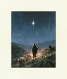 The Shepherd's Star