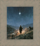 The Shepherd's Star
