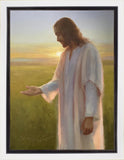 Light of The Son Gallery Wrap