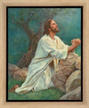 Prayer at Gethsemane Gallery Wrap