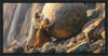 Redemption's Ascent Gallery Wrap