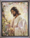 Blossom Gallery Wrap