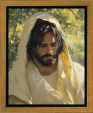 Solemn Grove Gallery Wrap