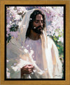 Abide