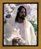 Abide