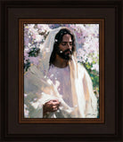 Abide