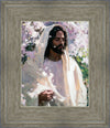 Abide