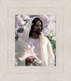 Abide