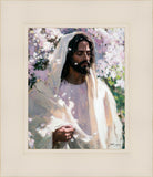 Abide