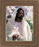 Abide