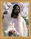 Abide