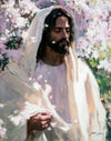 Abide