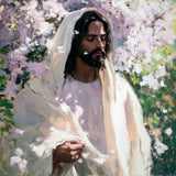 Abide
