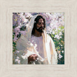 Abide