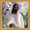 Abide