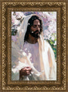 Abide