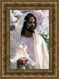 Abide