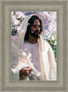 Abide