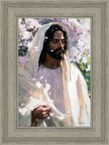Abide