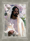 Abide