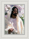Abide