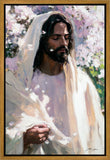 Abide