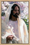 Abide