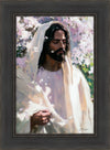 Abide