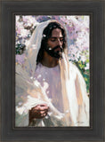 Abide