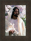 Abide