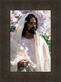 Abide